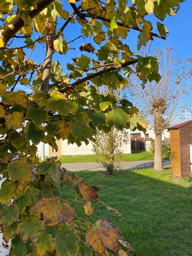 Vakantiehuisje38 Koksijde Ngoại thất bức ảnh